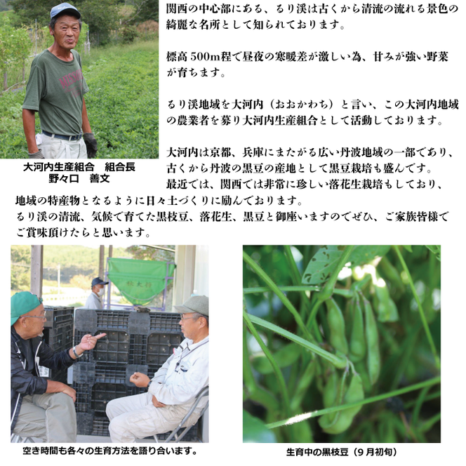 落花生 京都 2025年 先行予約 生落花生 るり渓 大河内生産組合発 丹波 野菜 国産 ピーナッツ おつまみ 先行 ※北海道・沖縄・離島への発送不可