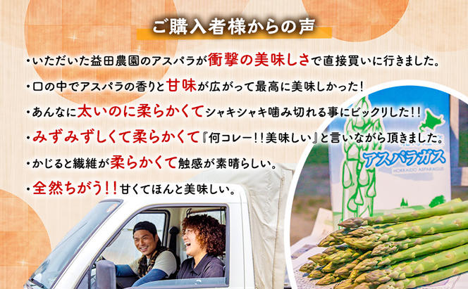 【数量限定・2025年4月15日頃～順次発送】富良野 益田農園産 極太 グリーンアスパラガス ≪M～3L混合≫ 約400g アスパラ 北海道 富良野市 緑アスパラ 野菜 とれたて 朝採り 限定 数量限定 (益田農園)