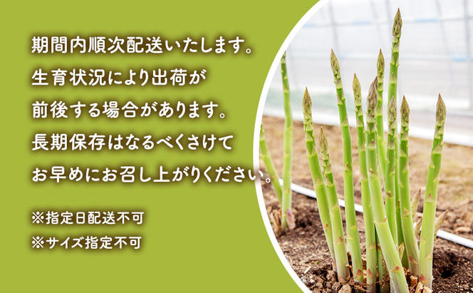 【数量限定・2025年4月15日頃～順次発送】富良野 益田農園産 極太 グリーンアスパラガス ≪M～3L混合≫ 約800g アスパラ 北海道 富良野市 緑アスパラ 野菜 とれたて 朝採り 限定 数量限定 (益田農園)