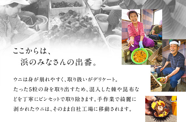 北海道礼文島産　旬凍ウニ食べ比べセット（80g×各2個）