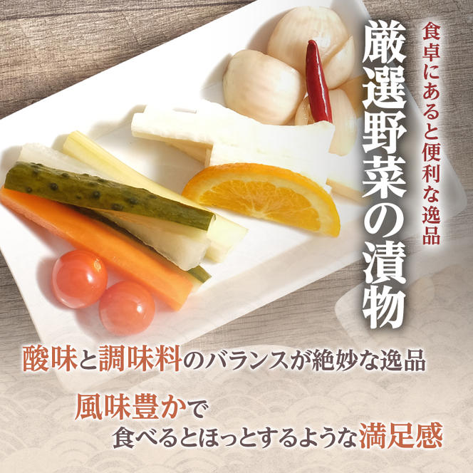 田中青果　見て食べて美味しい　ピクルスセット（1）