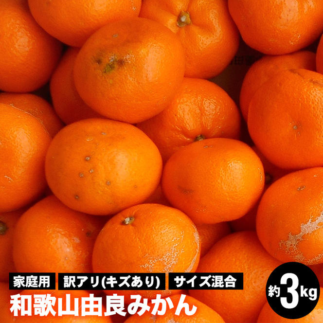 和歌山由良みかん　約３kg　訳あり　家庭用キズあり　サイズ混合
※離島への配送不可
※2024年11月下旬～2025年1月中旬頃までに順次発送予定