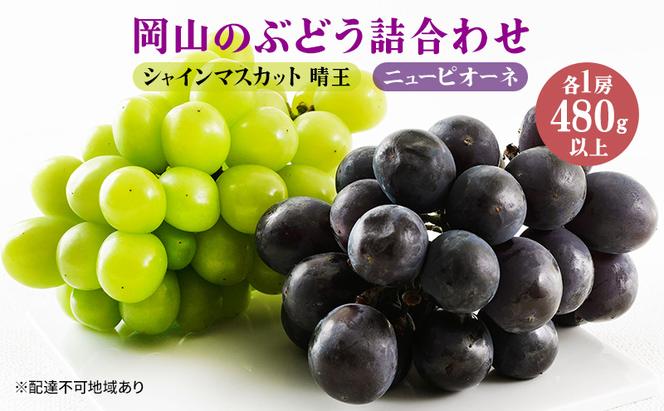 ぶどう 2024年 先行予約 果物 詰合せ ニュー ピオーネ 1房480g以上 シャイン マスカット 晴王 1房 480g以上 化粧箱入り ブドウ 葡萄  岡山県産 国産 フルーツ 果物 ギフト