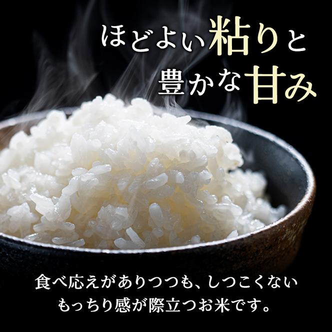 定期便 無洗米 ゆめぴりか 5kg 5カ月 ホクレン ANA 機内食 採用 お米 コメ こめ おこめ 5キロ 白米 北海道 道産 国産 特A ごはん ご飯 おかず おにぎり お取り寄せ