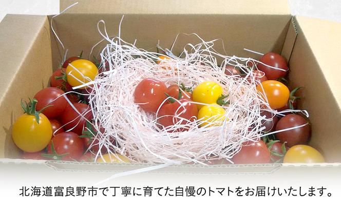 北海道 富良野市産 完熟ミニトマト（甘っこ）約2kg カラートマト・ぷちぷよ付 トマト 甘い 野菜 新鮮 数量限定 先着順【藏ファーム】