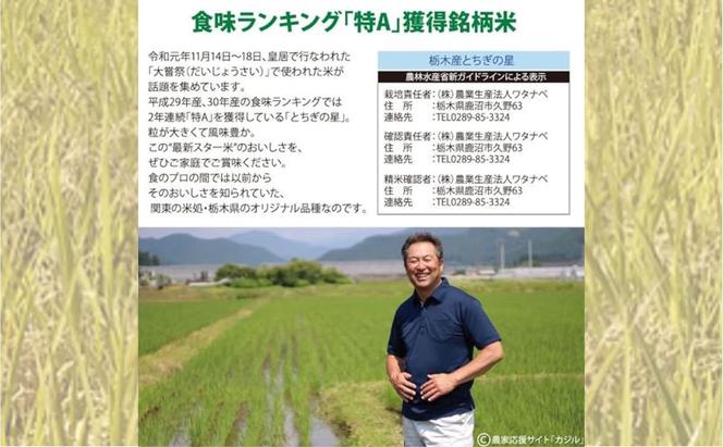 【定期便 6ヶ月】栃木県鹿沼市産 とちぎの星 無洗米 10kg（5kg×2袋） 6回お届け 令和6年産 水稲うるち精米 単一原料米 お米  特A 大粒