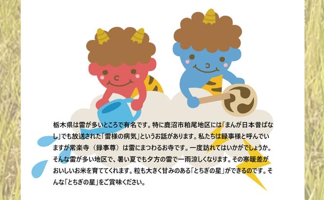 【定期便 6ヶ月】栃木県鹿沼市産 とちぎの星 無洗米 10kg（5kg×2袋） 6回お届け 令和6年産 水稲うるち精米 単一原料米 お米  特A 大粒