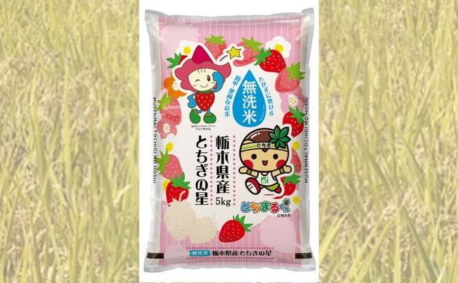 【定期便 6ヶ月】栃木県鹿沼市産 とちぎの星 無洗米 10kg（5kg×2袋） 6回お届け 令和6年産 水稲うるち精米 単一原料米 お米  特A 大粒