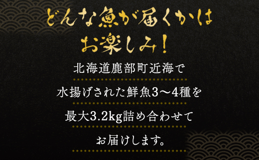 【2025年3月下旬発送】北海道産 冷凍鮮魚セット 最大3.2kg 「漁師応援プロジェクト！」 下処理済み 冷凍 鮮魚 海鮮 海産 地元