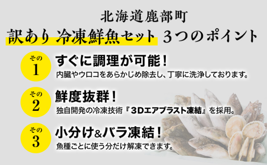 【2024年6月発送】北海道産 冷凍鮮魚セット 最大3.2kg 「漁師応援プロジェクト！」 下処理済み 冷凍 鮮魚 海鮮 海産 地元