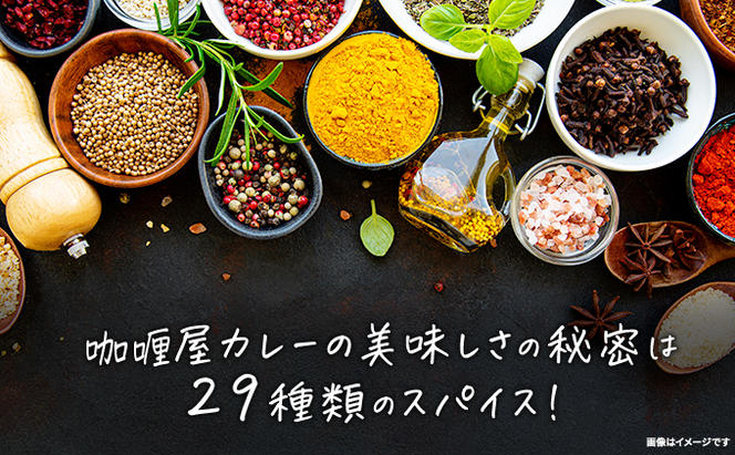 レトルト カリー屋ハヤシ 180g×20食 ハウス食品 レトルト食品 ハヤシライス カリー屋カレー レトルトカレー 保存食 非常食 防災食 常温 常温保存 レンジ 惣菜 加工食品 災害 備蓄 静岡