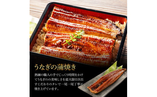 うなぎ蒲焼き 2尾 + 藁焼き(白焼き)2尾 4尾セット 1尾約140g タレ付き うなぎ 鰻 ウナギ 蒲焼き かば焼き わら焼き 天日塩付き ポン酢付き 養殖 国産 お取り寄せ 冷凍 配送