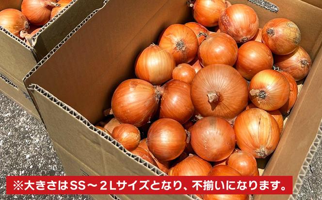 淡路島玉葱 5kg 【栽培期間中、無農薬栽培】