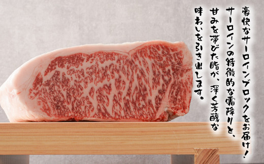 淡路ビーフ サーロインブロック　約3kg　　[サーロイン バーベキュー ブロック ステーキ 焼肉]