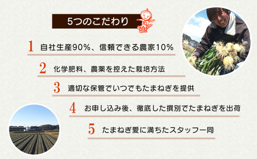 淡路島たまねぎ 歩-AYUMU- 2kg　　 [玉ねぎ たまねぎ 淡路島 玉ねぎ たまねぎ 淡路島 玉ねぎ たまねぎ 淡路島 玉ねぎ たまねぎ 淡路島 玉ねぎ たまねぎ 玉ねぎ たまねぎ 玉ねぎ たまねぎ 玉葱 玉ねぎ 玉ねぎ たまねぎ]