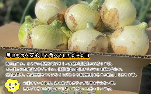 まるでフルーツ？！淡路島産ブランド新玉ねぎ 極早生 「にじたま」3kgダンボール入り【発送時期2024年1月中旬～2024年4月頃】