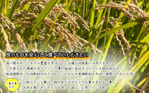 数量限定 獲れたて淡路島産ヒノヒカリ 新米 「米HAPPY」 5kg袋入り