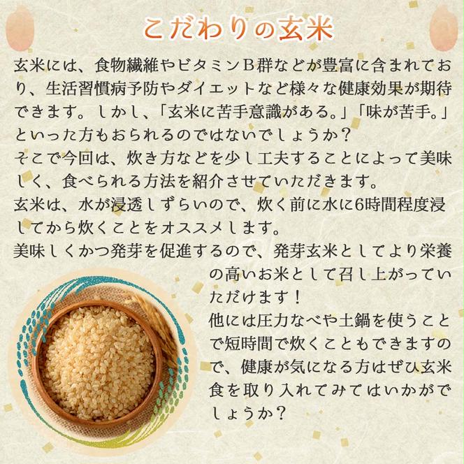 健康志向の方におすすめ【きぬむすめ】令和６年産 新米 玄米10kg（10kg×1袋）(19-42)