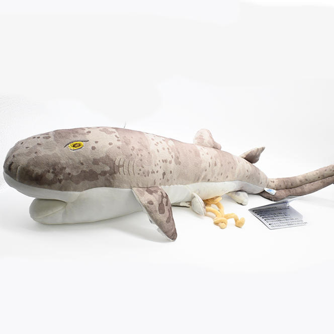 ぬいぐるみ ナヌカザメ アクアワールド 大洗 オリジナル サメ 親子 グッズ 茨城 水族館 さめ 鮫 限定