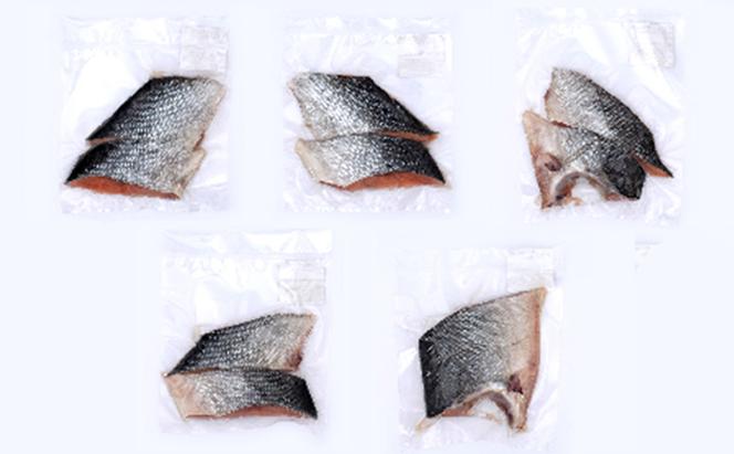 北海道産 低温熟成 新巻鮭 切り身 約1.2kg 10切入 (2切×5パック)