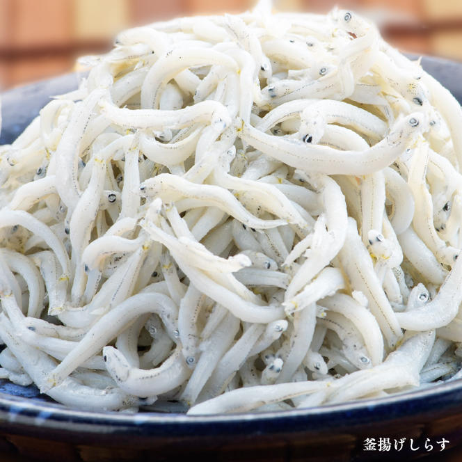 釜揚げしらす しらす干し 交互 定期便 (1kg×4か月) 天然 ふっくら 大洗 名産 しらす シラス 魚 さかな 魚介 離乳食