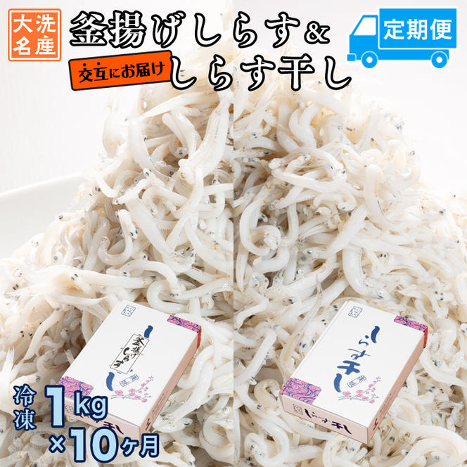 釜揚げしらす しらす干し 交互 定期便 (1kg×10か月) 天然 ふっくら 大洗 名産 しらす シラス 魚 さかな 魚介 離乳食