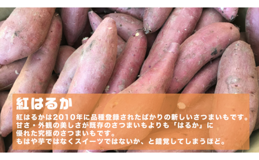 オーガニックさつまいも5kg【農薬・肥料不使用】【茨城県共通返礼品 つくばみらい市】
※2024年10月下旬～2025年2月下旬頃発送予定