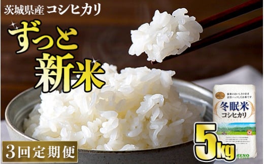 【3回定期便】令和6年産 コシヒカリ 冬眠米 5kg×3回 計15kg 定期便 茨城県産 白米 精米 ごはん お米 冬眠 とうみんまい ブランド米 検査米 単一原料米 国産 守谷市 送料無料