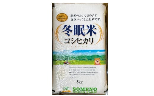 【6回定期便】令和5年産 コシヒカリ 冬眠米 5kg×6回 計30kg 定期便 茨城県産 白米 精米 ごはん お米 冬眠 とうみんまい ブランド米 検査米 単一原料米 国産 守谷市 送料無料