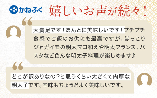 ☆TVで紹介されました☆ かねふく 明太子 訳あり 1kg 特大 切れ子 切子 めんたいこ 魚介類 めんたいパーク わけあり 規格外 不揃い 傷 家庭用 有着色