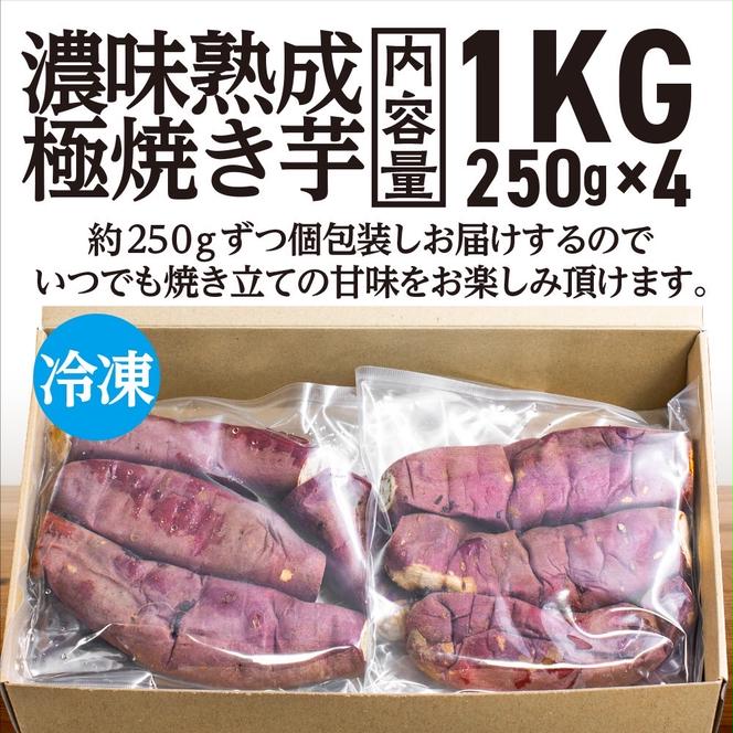 濃味熟成 極焼き芋 1kg (250g×4p) 冷凍 真空パック 紅はるか 焼き芋 小分け 大洗産 茨城県産 国産 濃厚 熟成 やきいも 芋 茨城 べにはるか さつまいも お菓子 和菓子 スイーツ