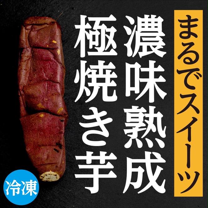 濃味熟成 極焼き芋 1kg (250g×4p) 冷凍 真空パック 紅はるか 焼き芋 小分け 大洗産 茨城県産 国産 濃厚 熟成 やきいも 芋 茨城 べにはるか さつまいも お菓子 和菓子 スイーツ