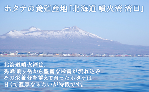 【先行予約2025年3月下旬発送開始】北海道産 ホタテ ガンガン焼き カンカン焼き 1.5kg以上 北海道産 ホタテ 加熱用 説明書付き カンカン蒸し 浜蒸し ホタテ 帆立 ほたて 魚介 海鮮 貝 アウトドア キャンプ バーベキュー BBQ 事業者支援 漁師応援