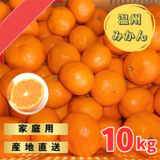 宮川早生みかんご家庭用　10kg箱入 | みかん 早生みかん 早生 訳あり わけあり 旬 柑橘 フルーツ 果物 果実 ミカン 産地直送 ※2025年11月下旬～12月中旬頃に順次発送予定