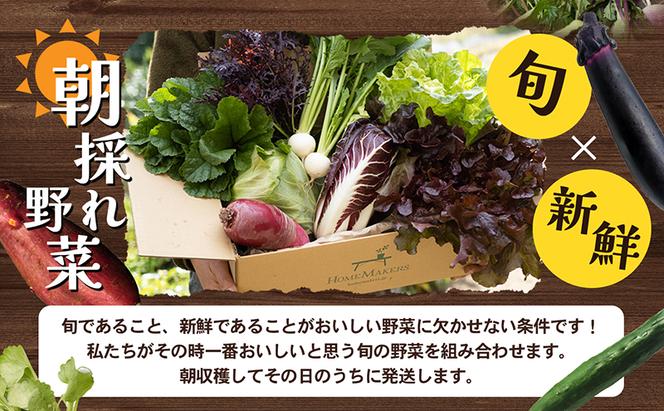 瀬戸内小豆島そだちの旬野菜セット 農家直送