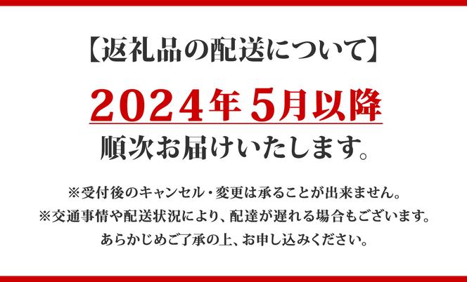 【CF】倶知安 チキンレッグスープカレー 北海道 10個 中辛 レトルト食品 加工品 チキンカレー スープカレー 野菜 じゃがいも 鳥 鶏 お取り寄せ グルメ 倶知安町 保存食 スパイシー スパイス お肉 牛肉 加工食品 惣菜 