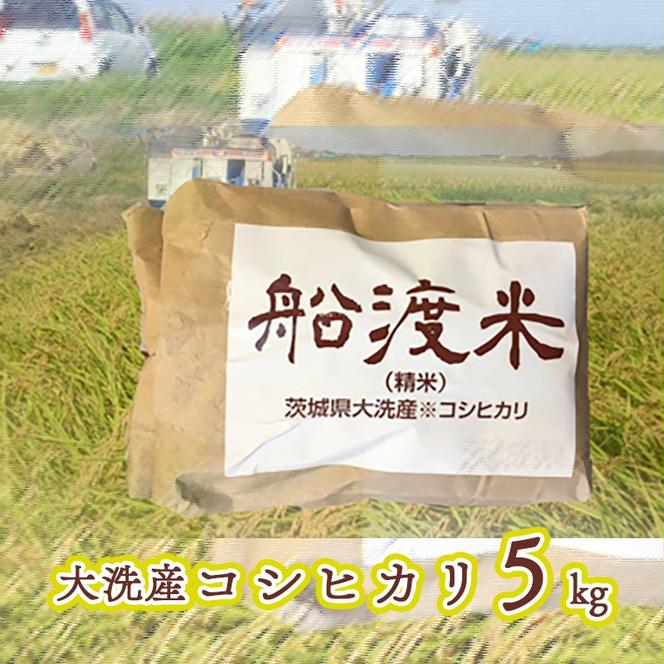 米 コシヒカリ 5kg 舟渡米 茨城 大洗 国産 白米 精米