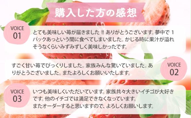 定期便 3ヶ月 いちご あまおう 400g 特選 あまおう 2025年2月より発送 イチゴ 苺 フルーツ 果物 デザート 3回 お楽しみ ※配送不可：離島