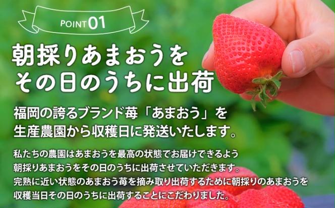 定期便 3ヶ月 いちご あまおう 400g 特選 あまおう 2025年2月より発送 イチゴ 苺 フルーツ 果物 デザート 3回 お楽しみ ※配送不可：離島