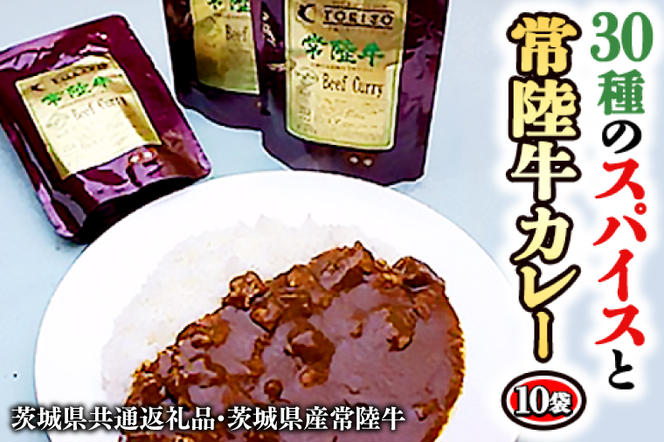 常陸牛 極上カレー 10人前 セット 30種のスパイス 超本格 レトルト食品 カレールー レトルトカレー カレー