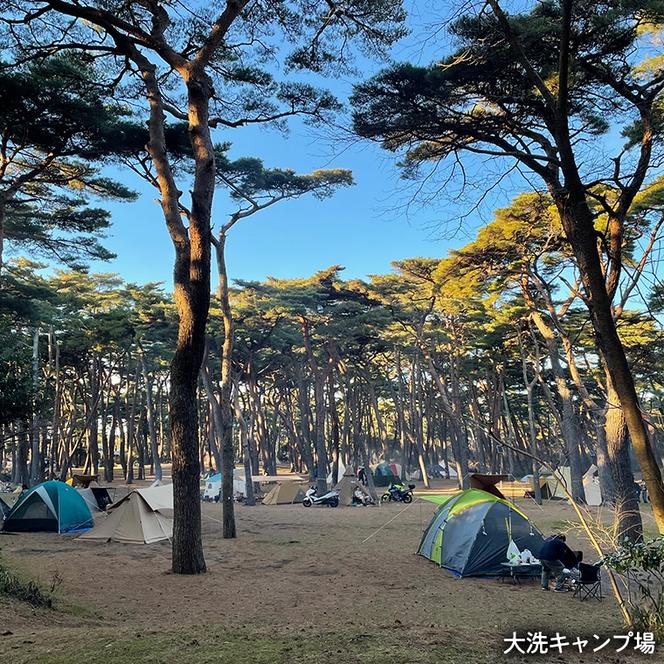 大洗 キャンプ場 クーポン券 3000円分（1000円×3枚） 大洗サンビーチキャンプ場 大洗キャンプ場 チケット 利用券 アウトドア 旅行