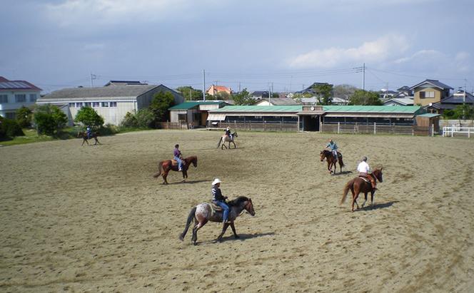 [SUNSHINE STABLES]利用補助券（3,000円分）