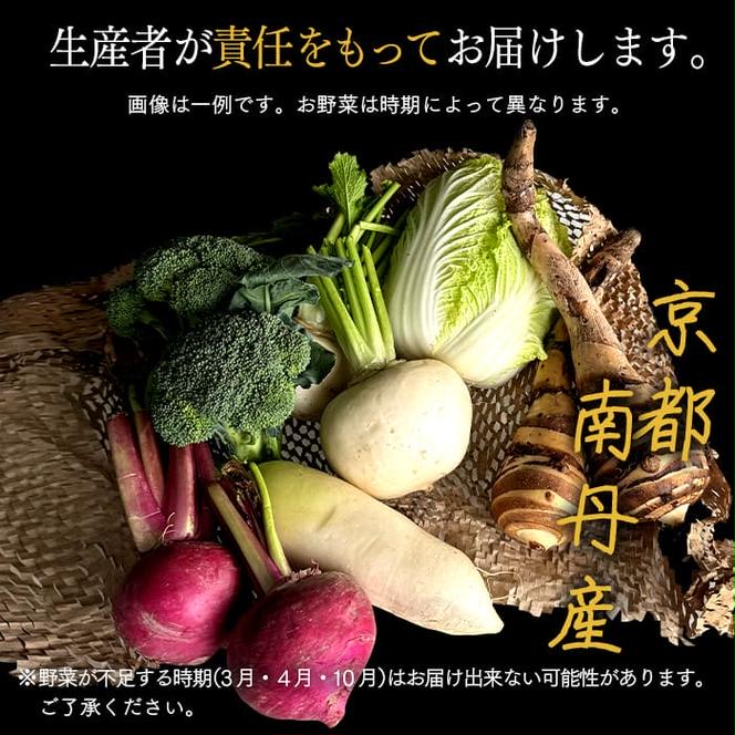 野菜セット 定期便 6ヶ月 産直 京野菜 おまかせセット L 野菜 4種 セット 詰め合わせ 旬野菜 季節の野菜 減農薬栽培 旬 おまかせ 京都 6回 半年 お楽しみ