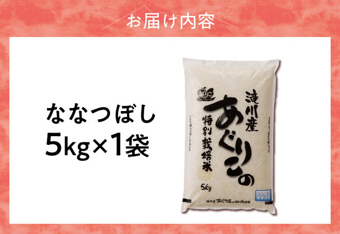 【入金確認後、最短7日発送】北海道滝川産 特別栽培ななつぼし 5kg