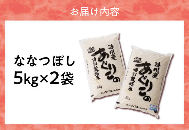 【入金確認後、最短7日発送】北海道滝川産 特別栽培ななつぼし 10kg