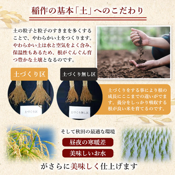 〈定期便5ヶ月〉米 秋田 あきたこまち 2kg(約13合) ×5回 計10kg(約65合)精米 白米 土づくり実証米 令和6年産  