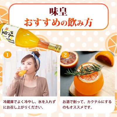 G7032_有田みかん果汁100％ジュース「味皇」720ml×2本