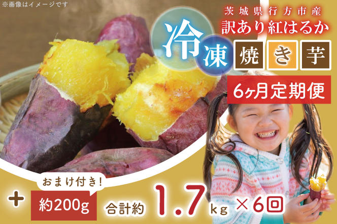 EY-33　【6ヶ月定期便】訳あり！紅はるか冷凍焼き芋約1.5キロ+おまけ約200グラム（合計約1.7キロ）