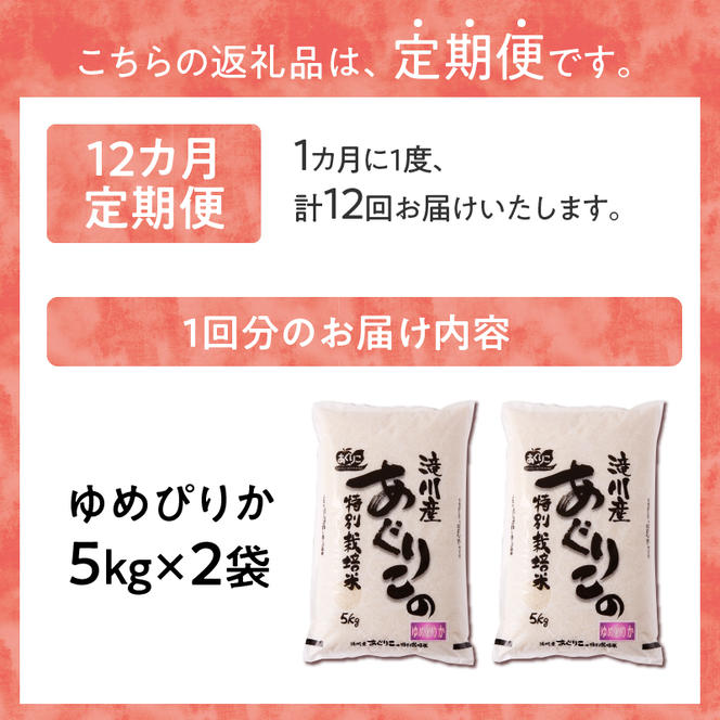 令和6年産米 北海道滝川産　特別栽培ゆめぴりか 10kg 12ヶ月連続｜北海道 滝川市 米 お米 白米 精米 ゆめぴりか ユメピリカ 特別栽培 定期便 連続お届け