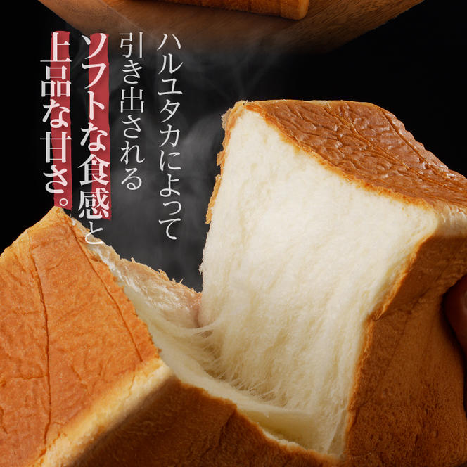 北の恵み～高級食パンなご実 リッチ 1.5斤｜北海道 滝川市 パン 食パン しょくパン ぱん ハルユタカ